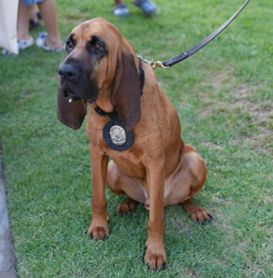 K9 Kopper